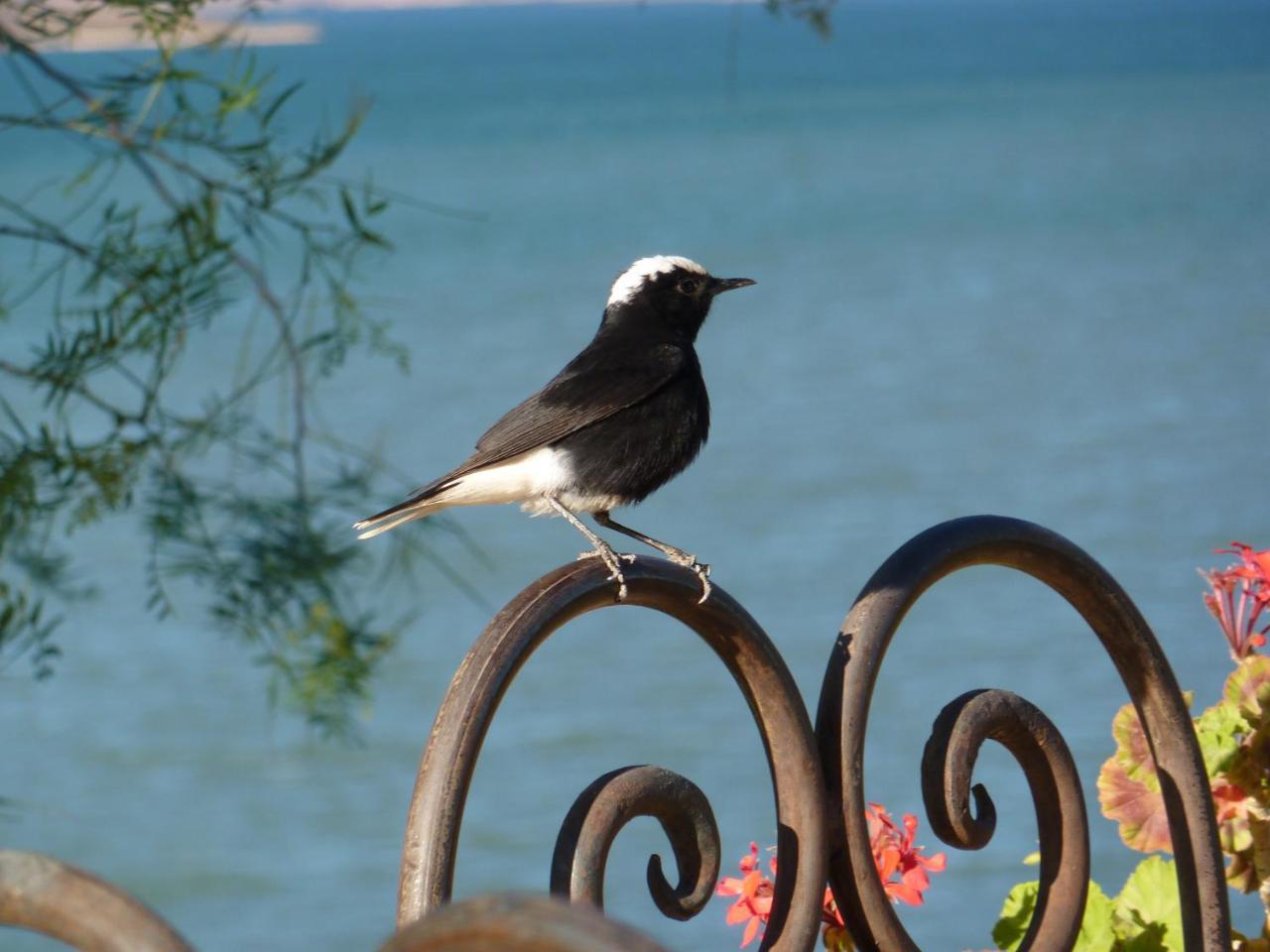 Les Tourmalines Bed & Breakfast Afeggou Exterior photo